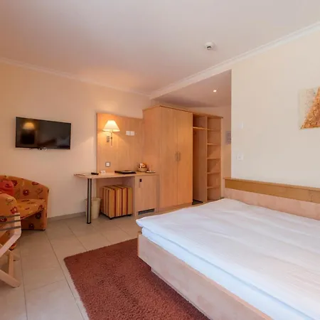 ホテル Alpenresort Eienwaeldli エンゲルベルク
