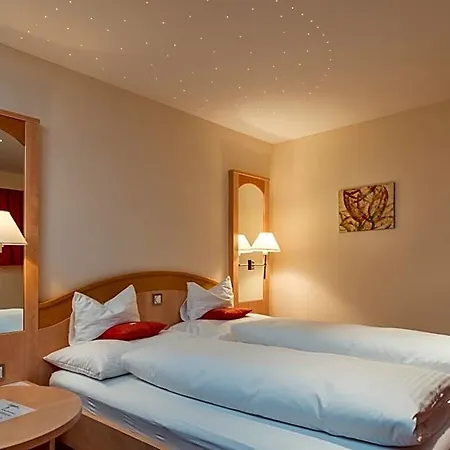 ホテル Alpenresort Eienwaeldli エンゲルベルク
