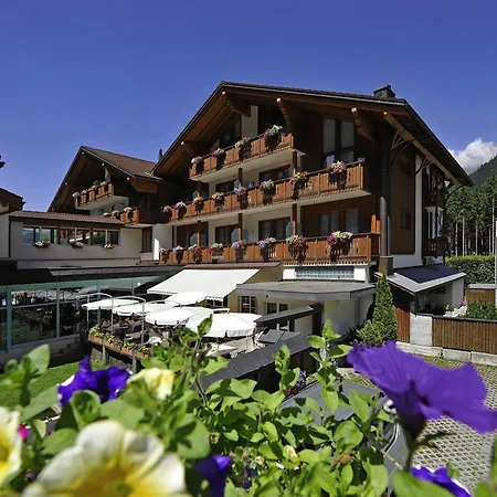 Alpenresort Eienwaeldli ホテル 3*